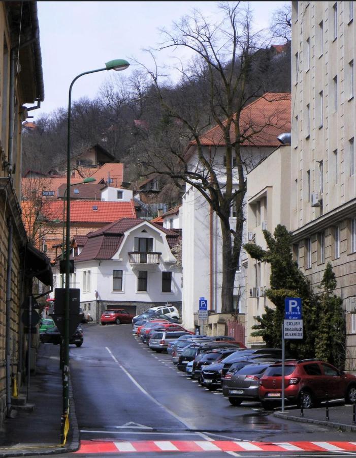 Magic House Brasov Lejlighed Eksteriør billede